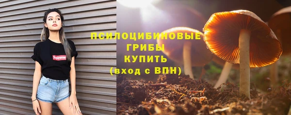 прущая мука Верхний Тагил